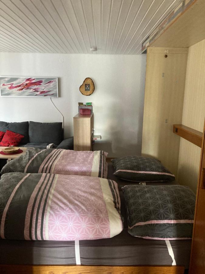 Gemuetliche Ferienwohnung In Sankt Blasien Ngoại thất bức ảnh