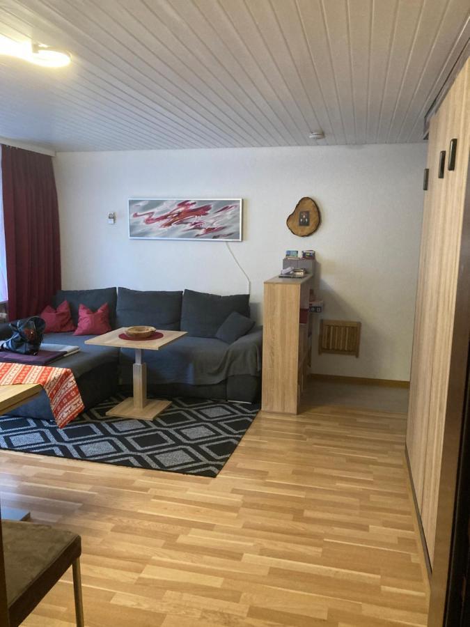 Gemuetliche Ferienwohnung In Sankt Blasien Ngoại thất bức ảnh