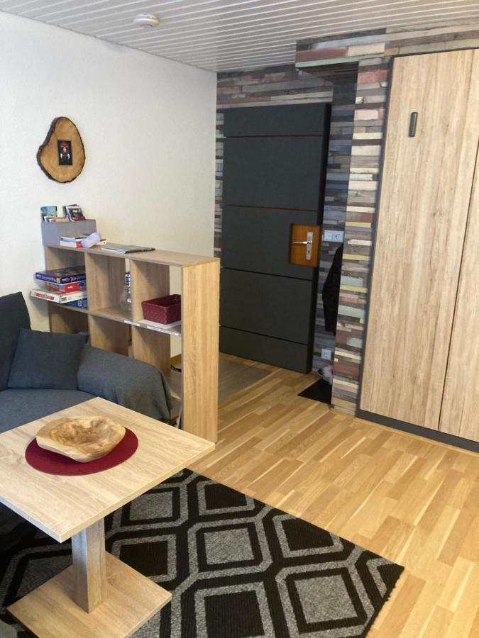 Gemuetliche Ferienwohnung In Sankt Blasien Ngoại thất bức ảnh